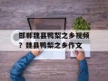 邯郸魏县鸭梨之乡视频？魏县鸭梨之乡作文