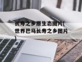 长寿之乡原生态图片(世界巴马长寿之乡图片)