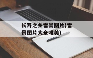 长寿之乡雪景图片(雪景图片大全唯美)