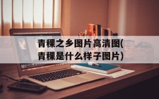 青稞之乡图片高清图(青稞是什么样子图片)