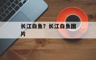 长江白鱼？长江白鱼图片