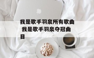 我是歌手羽泉所有歌曲 我是歌手羽泉夺冠曲目