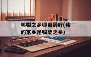 鸭梨之乡哪里最好(我的家乡是鸭梨之乡)