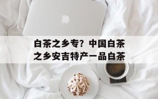 白茶之乡专？中国白茶之乡安吉特产一品白茶