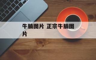 牛腩图片 正宗牛腩图片