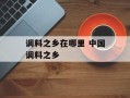 调料之乡在哪里 中国调料之乡