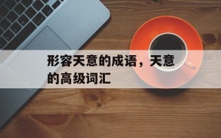 形容天意的成语，天意的高级词汇