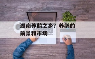湖南养鹅之乡？养鹅的前景和市场