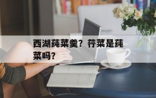 西湖莼菜羹？荇菜是莼菜吗？