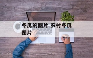 冬瓜的图片 农村冬瓜图片