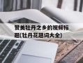 赞美牡丹之乡的视频标题(牡丹花题词大全)