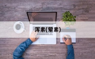 浑素(荤素)