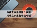 马戏之乡是哪里？安徽马戏之乡出售老虎电话