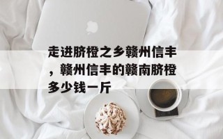 走进脐橙之乡赣州信丰，赣州信丰的赣南脐橙多少钱一斤