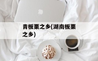 青板栗之乡(湖南板栗之乡)