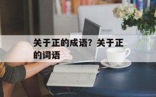 关于正的成语？关于正的词语