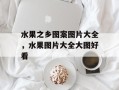 水果之乡图案图片大全，水果图片大全大图好看