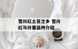 雪川红土豆之乡 雪川红马铃薯品种介绍