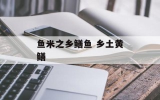 鱼米之乡鳝鱼 乡土黄鳝