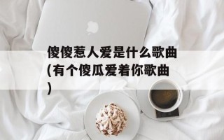 傻傻惹人爱是什么歌曲(有个傻瓜爱着你歌曲)