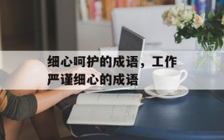 细心呵护的成语，工作严谨细心的成语
