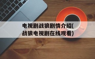 电视剧战狼剧情介绍(战狼电视剧在线观看)