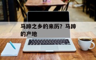 马蹄之乡的来历？马蹄的产地