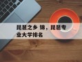琵琶之乡 锦，琵琶专业大学排名