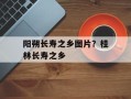 阳朔长寿之乡图片？桂林长寿之乡