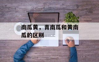 南瓜黄，青南瓜和黄南瓜的区别