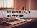 青岛候鸟海鸥之乡，海鸥为什么要迁徙