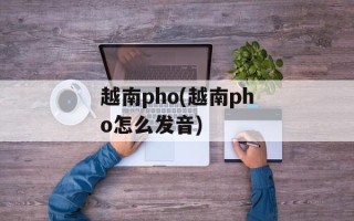 越南pho(越南pho怎么发音)