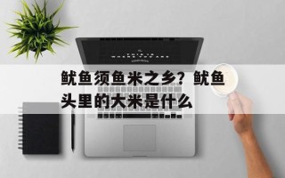 鱿鱼须鱼米之乡？鱿鱼头里的大米是什么