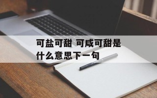 可盐可甜 可咸可甜是什么意思下一句