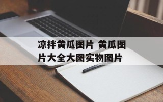 凉拌黄瓜图片 黄瓜图片大全大图实物图片