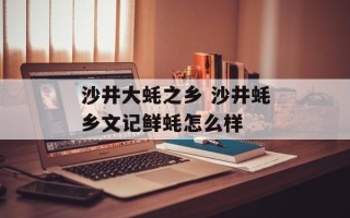 沙井大蚝之乡 沙井蚝乡文记鲜蚝怎么样