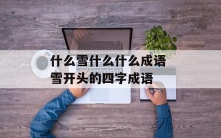 什么雪什么什么成语 雪开头的四字成语