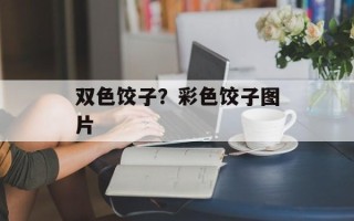 双色饺子？彩色饺子图片