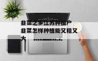 韭菜之乡江苏种植户 韭菜怎样种植能又粗又大