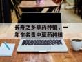 长寿之乡草药种植，一年生名贵中草药种植