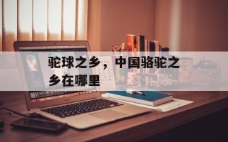 驼球之乡，中国骆驼之乡在哪里