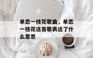 单恋一枝花歌曲，单恋一枝花这首歌表达了什么意思