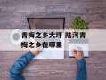 青梅之乡大坪 陆河青梅之乡在哪里