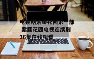 电视剧紫藤花园第一部 紫藤花园电视连续剧36集在线观看