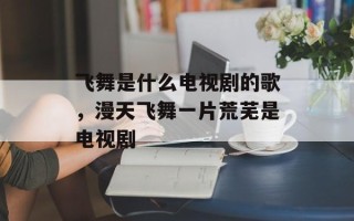 飞舞是什么电视剧的歌，漫天飞舞一片荒芜是电视剧