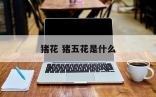 猪花 猪五花是什么