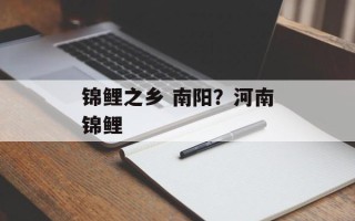 锦鲤之乡 南阳？河南锦鲤
