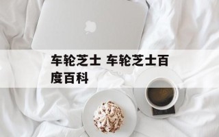 车轮芝士 车轮芝士百度百科