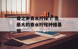香之乡香水柠檬 广东最大的香水柠檬种植基地