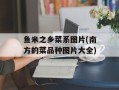 鱼米之乡菜系图片(南方的菜品种图片大全)